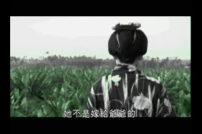 綠羽毛